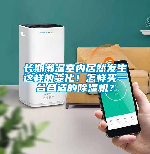 長期潮濕室內居然發生這樣的變化!怎樣買一臺合適的除濕機?