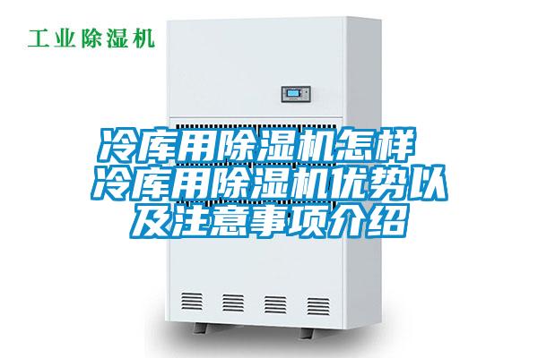 冷庫用除濕機(jī)怎樣 冷庫用除濕機(jī)優(yōu)勢(shì)以及注意事項(xiàng)介紹