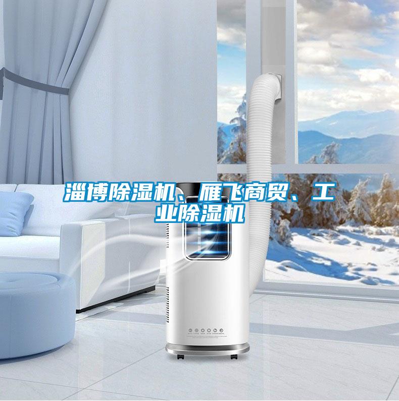 淄博除濕機、雁飛商貿(mào)、工業(yè)除濕機