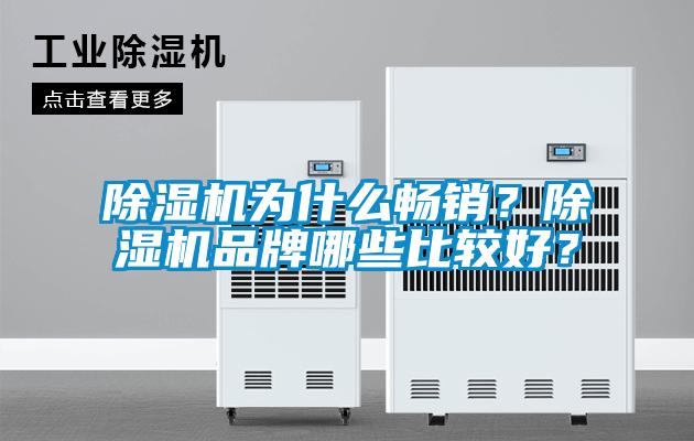 除濕機(jī)為什么暢銷(xiāo)?除濕機(jī)品牌哪些比較好?