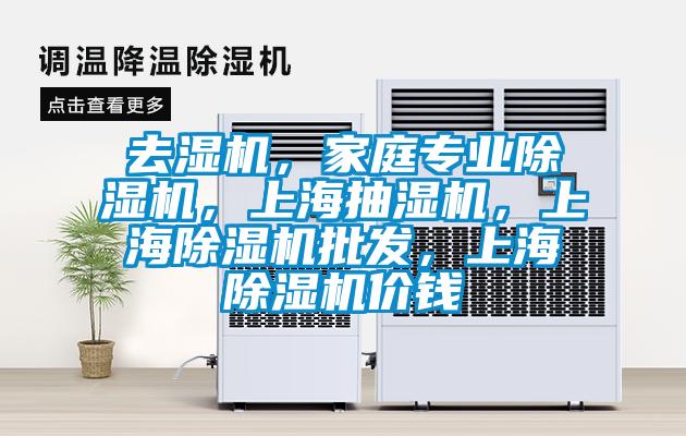 去濕機,家庭專業除濕機,上海抽濕機,上海除濕機批發,上海除濕機價錢