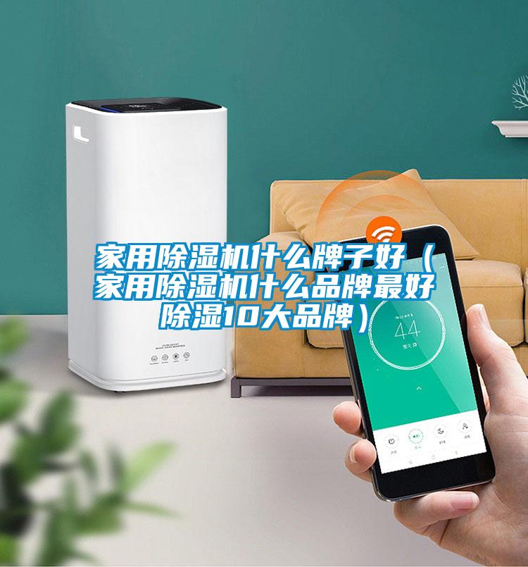 家用除濕機什么牌子好(家用除濕機什么品牌最好除濕10大品牌)