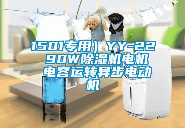 1501專用)YY-22 90W除濕機電機 電容運轉異步電動機