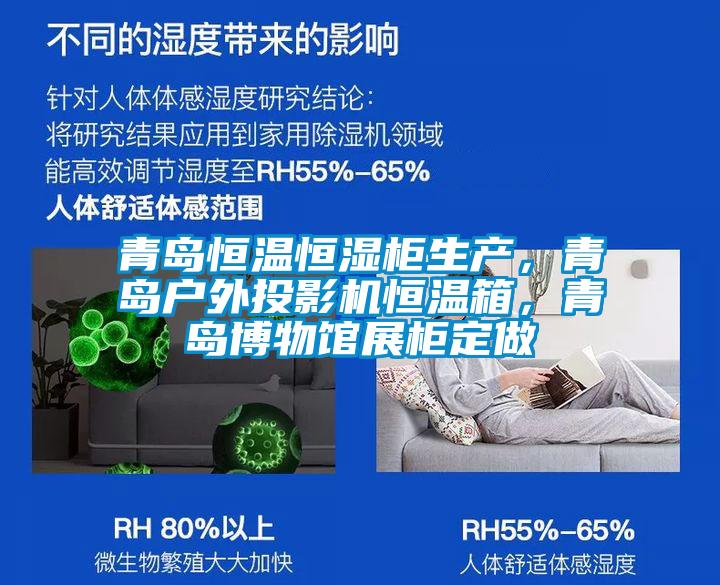 青島恒溫恒濕柜生產(chǎn),青島戶外投影機恒溫箱,青島博物館展柜定做