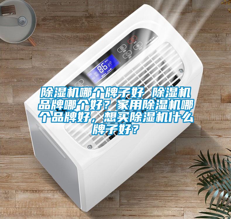 除濕機哪個牌子好 除濕機品牌哪個好？家用除濕機哪個品牌好，想買除濕機什么牌子好？