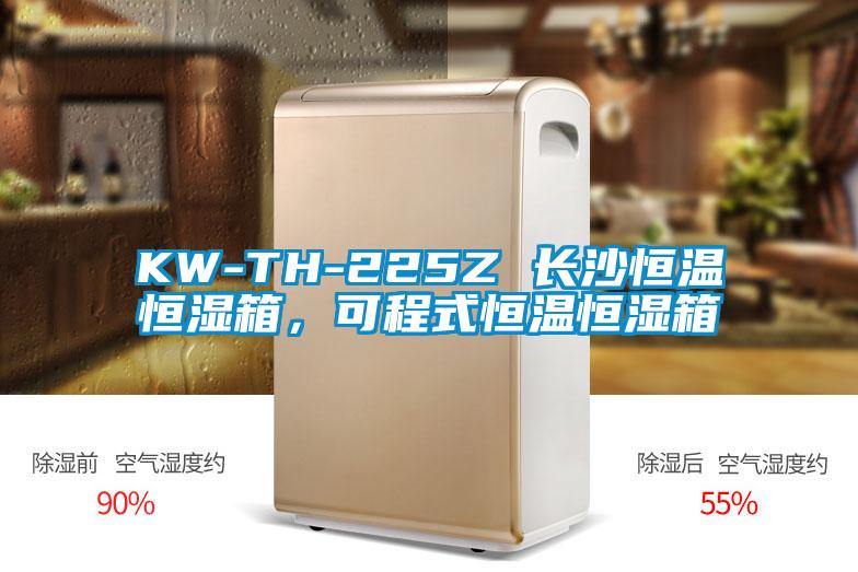 KW-TH-225Z 長沙恒溫恒濕箱，可程式恒溫恒濕箱
