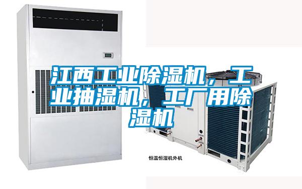江西工業(yè)除濕機，工業(yè)抽濕機，工廠用除濕機