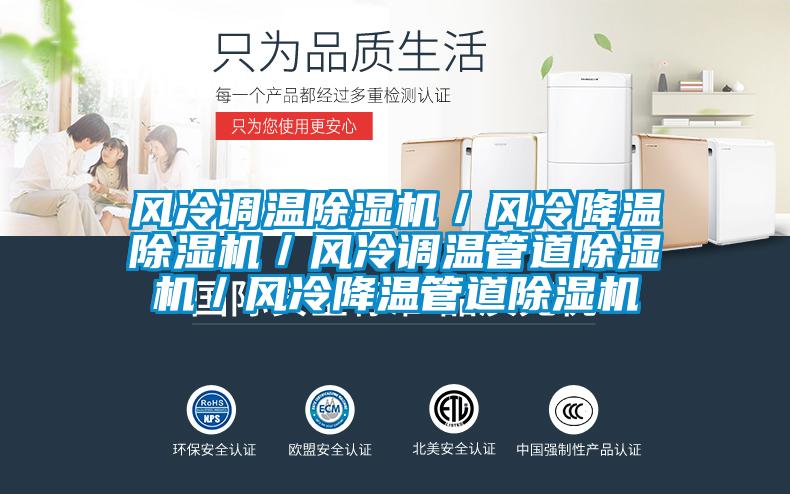 風冷調溫除濕機/風冷降溫除濕機/風冷調溫管道除濕機/風冷降溫管道除濕機