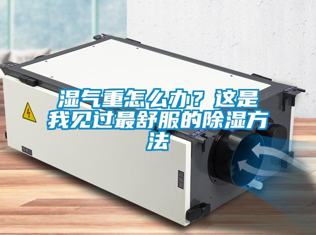 濕氣重怎么辦？這是我見(jiàn)過(guò)最舒服的除濕方法