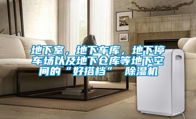 地下室，地下車庫(kù)，地下停車場(chǎng)以及地下倉(cāng)庫(kù)等地下空間的“好搭檔” 除濕機(jī)
