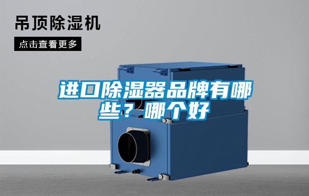 進口除濕器品牌有哪些？哪個好