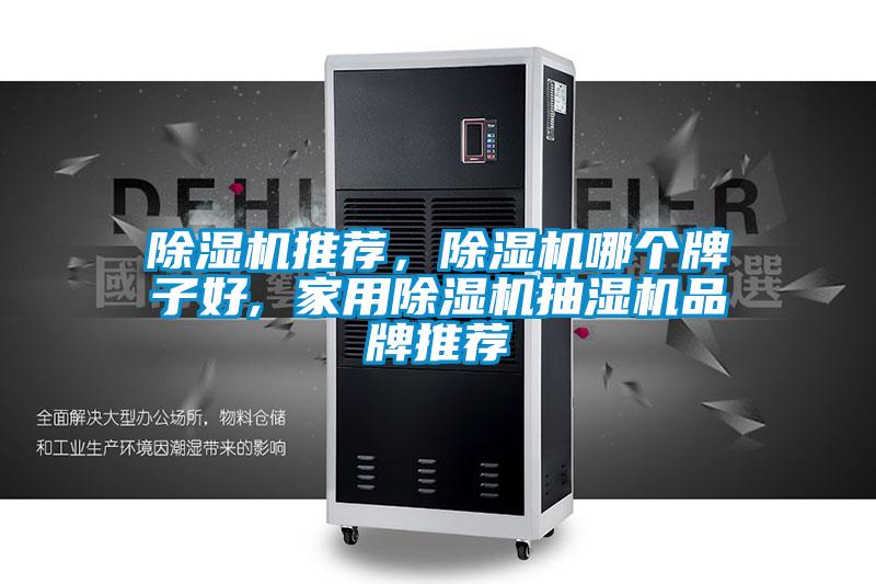 除濕機推薦，除濕機哪個牌子好, 家用除濕機抽濕機品牌推薦