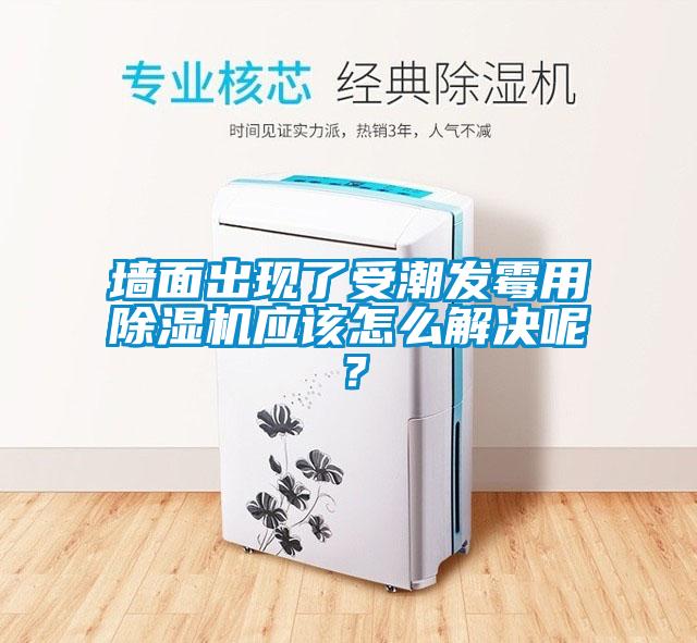 墻面出現(xiàn)了受潮發(fā)霉用除濕機應該怎么解決呢?