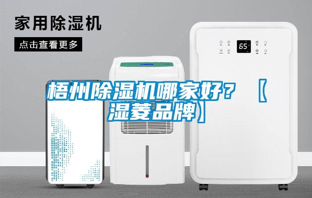 梧州除濕機哪家好？【濕菱品牌】