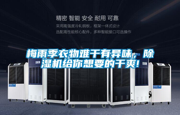 梅雨季衣物難干有異味,除濕機給你想要的干爽!
