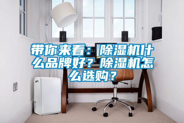 帶你來看：除濕機什么品牌好？除濕機怎么選購？