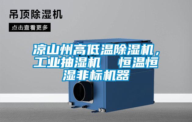 涼山州高低溫除濕機，工業(yè)抽濕機  恒溫恒濕非標機器