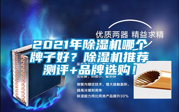 2021年除濕機哪個牌子好？除濕機推薦測評+品牌選購！