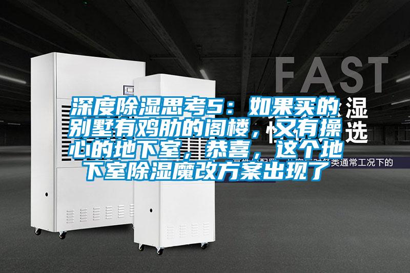 深度除濕思考5:如果買的別墅有雞肋的閣樓,又有操心的地下室,恭喜,這個地下室除濕魔改方案出現(xiàn)了