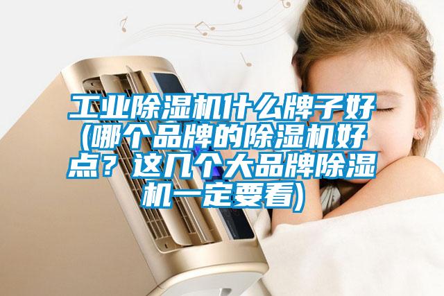 工業(yè)除濕機(jī)什么牌子好(哪個品牌的除濕機(jī)好點？這幾個大品牌除濕機(jī)一定要看)