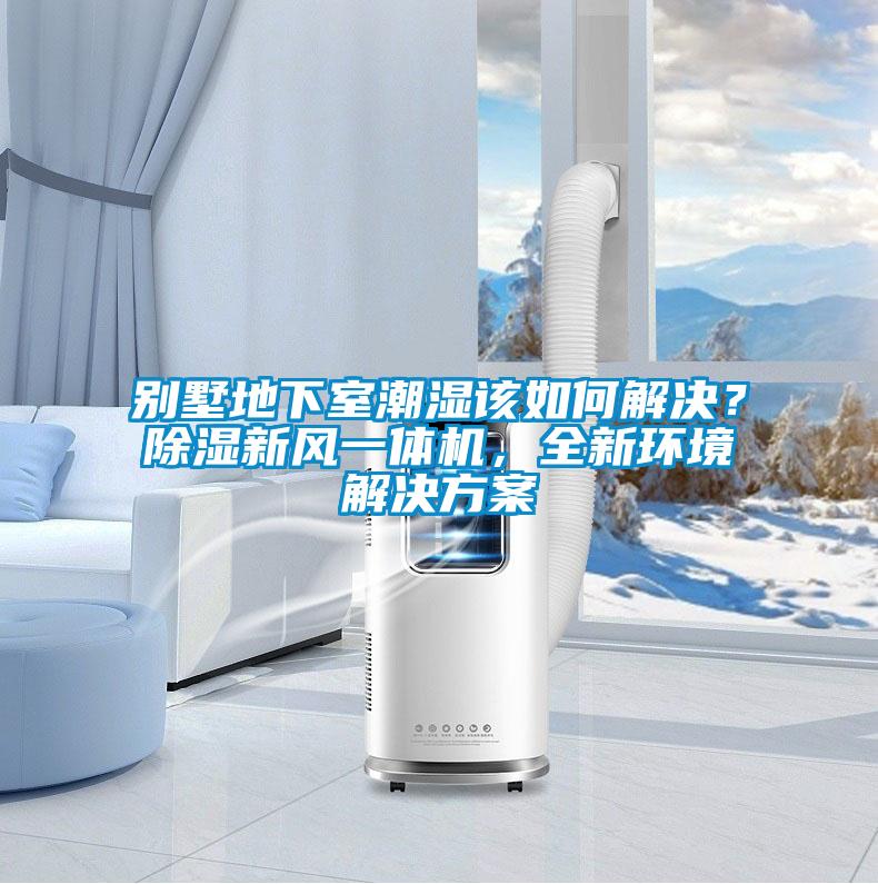 別墅地下室潮濕該如何解決？除濕新風一體機，全新環境解決方案