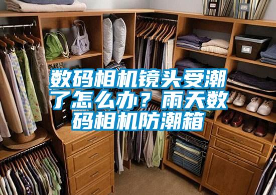 數(shù)碼相機(jī)鏡頭受潮了怎么辦？雨天數(shù)碼相機(jī)防潮箱