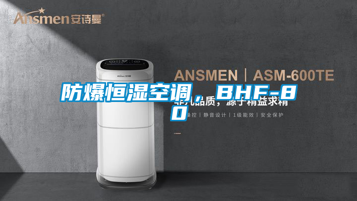 防爆恒濕空調，BHF-80