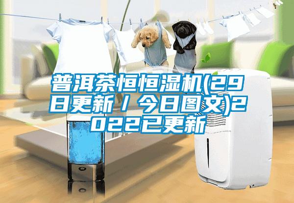 普洱茶恒恒濕機(29日更新/今日圖文)2022已更新