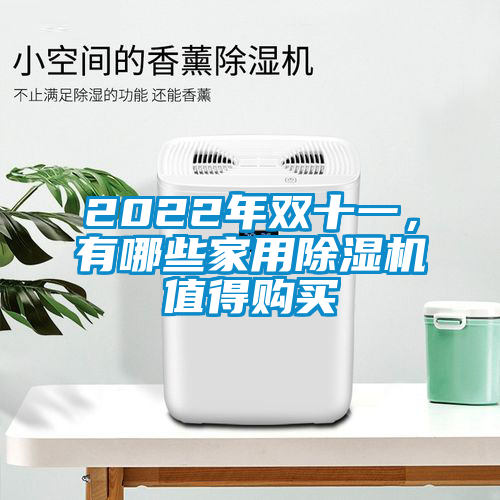 2022年雙十一，有哪些家用除濕機(jī)值得購買