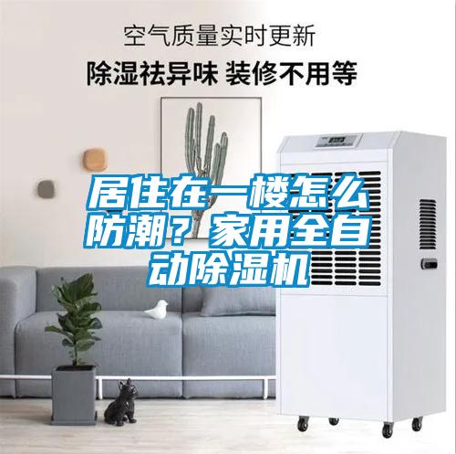 居住在一樓怎么防潮？家用全自動除濕機
