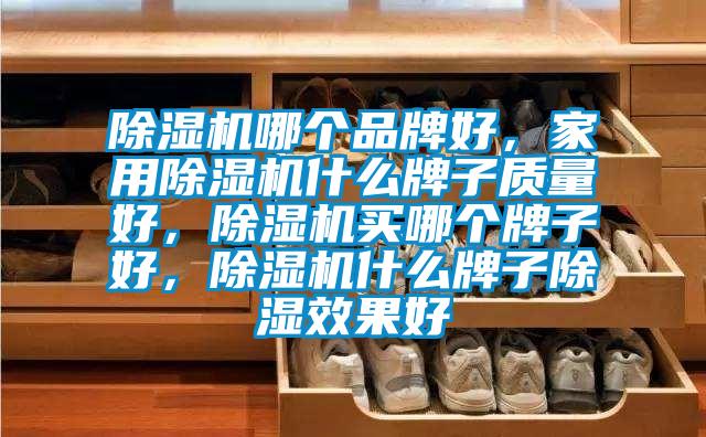 除濕機哪個品牌好，家用除濕機什么牌子質量好，除濕機買哪個牌子好，除濕機什么牌子除濕效果好