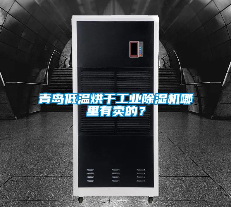 青島低溫烘干工業除濕機哪里有賣的?