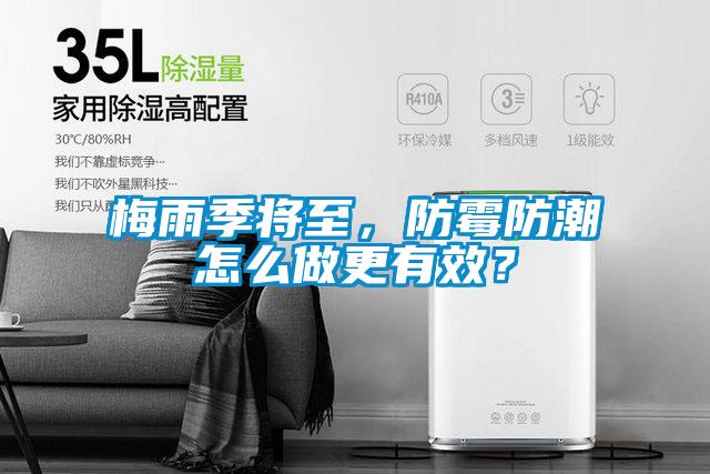 梅雨季將至，防霉防潮怎么做更有效？