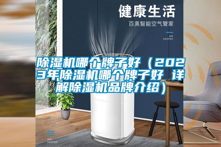 除濕機哪個牌子好(2023年除濕機哪個牌子好 詳解除濕機品牌介紹)