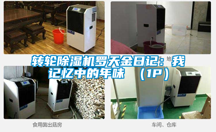轉(zhuǎn)輪除濕機羅天金日記:我記憶中的年味 (1P)
