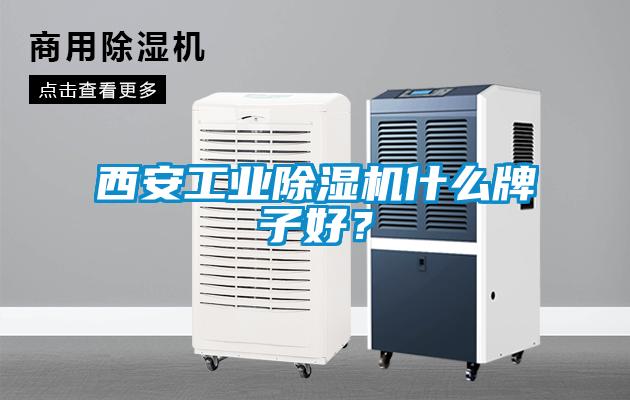 西安工業除濕機什么牌子好?