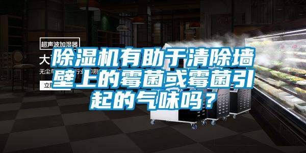 除濕機有助于清除墻壁上的霉菌或霉菌引起的氣味嗎?