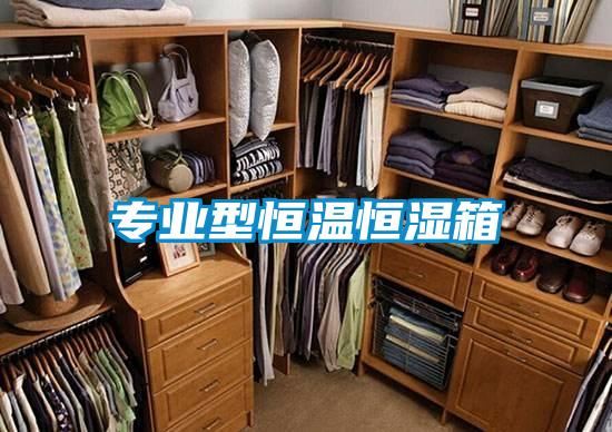 專(zhuān)業(yè)型恒溫恒濕箱