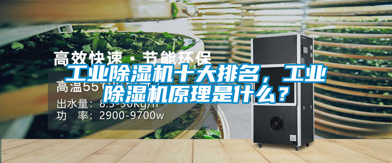 工業除濕機十大排名，工業除濕機原理是什么？