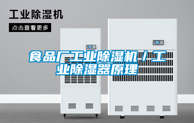 食品廠工業除濕機/工業除濕器原理