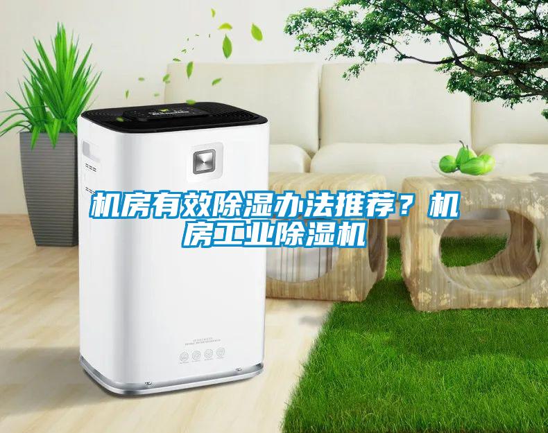 機房有效除濕辦法推薦?機房工業(yè)除濕機