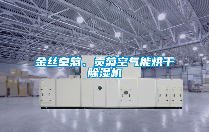 金絲皇菊、貢菊空氣能烘干除濕機