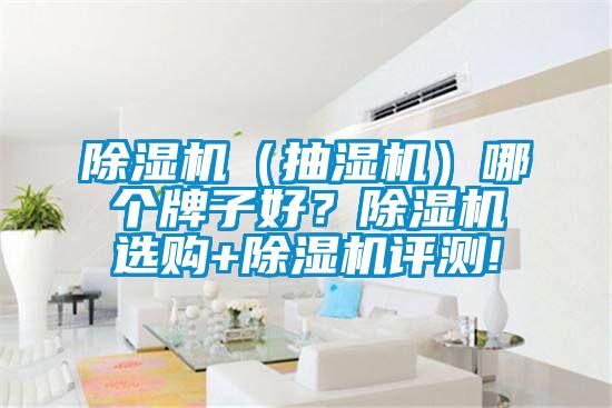 除濕機（抽濕機）哪個牌子好？除濕機選購+除濕機評測!