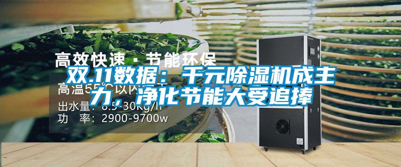 雙.11數據：千元除濕機成主力，凈化節能大受追捧