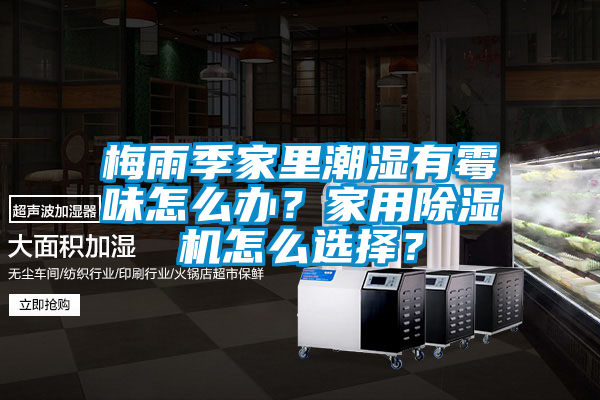 梅雨季家里潮濕有霉味怎么辦？家用除濕機(jī)怎么選擇？