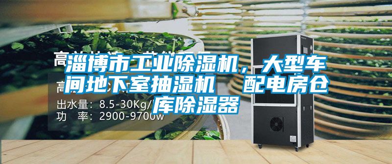 淄博市工業除濕機，大型車間地下室抽濕機  配電房倉庫除濕器