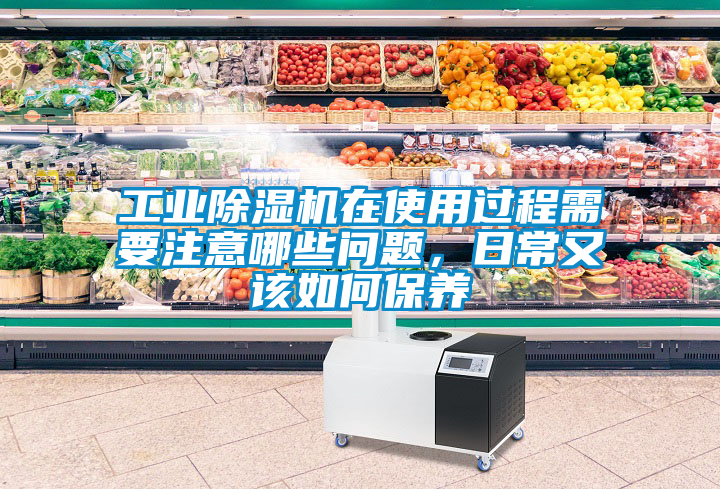 工業(yè)除濕機在使用過程需要注意哪些問題,日常又該如何保養(yǎng)