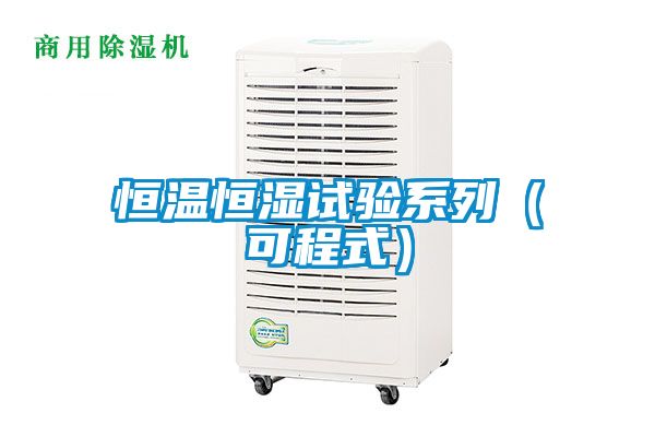 恒溫恒濕試驗(yàn)系列(可程式)