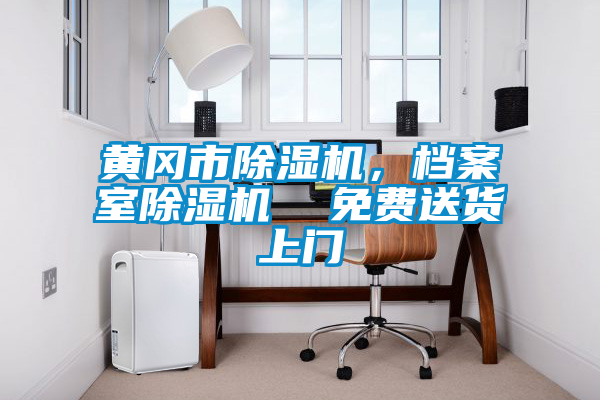 黃岡市除濕機(jī)，檔案室除濕機(jī)  免費(fèi)送貨上門