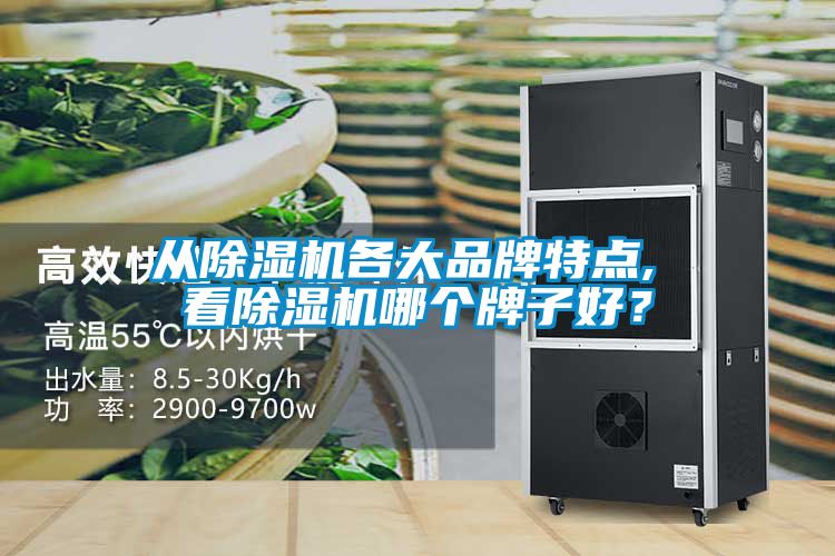 從除濕機(jī)各大品牌特點(diǎn), 看除濕機(jī)哪個(gè)牌子好?